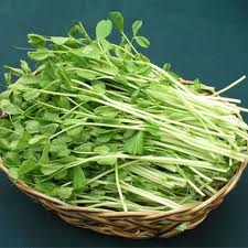 有機黑豆芽(150g) /盒